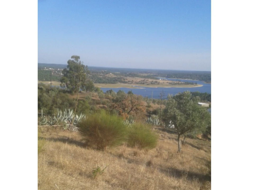 Terreno Agricola ou Rústico para Venda em Montargil Foto 6