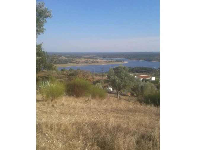 Terreno Agricola ou Rústico para Venda em Montargil
