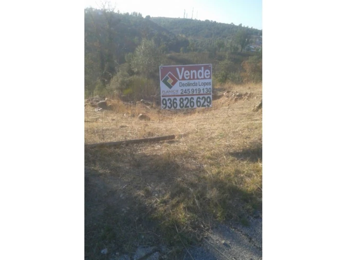 Terreno Agricola ou Rústico para Venda em Montargil Foto 2