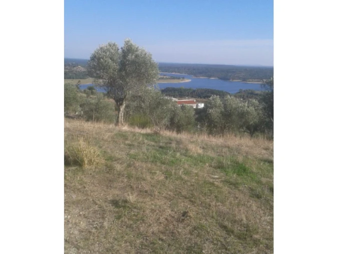 Terreno Agricola ou Rústico para Venda em Montargil Foto 5