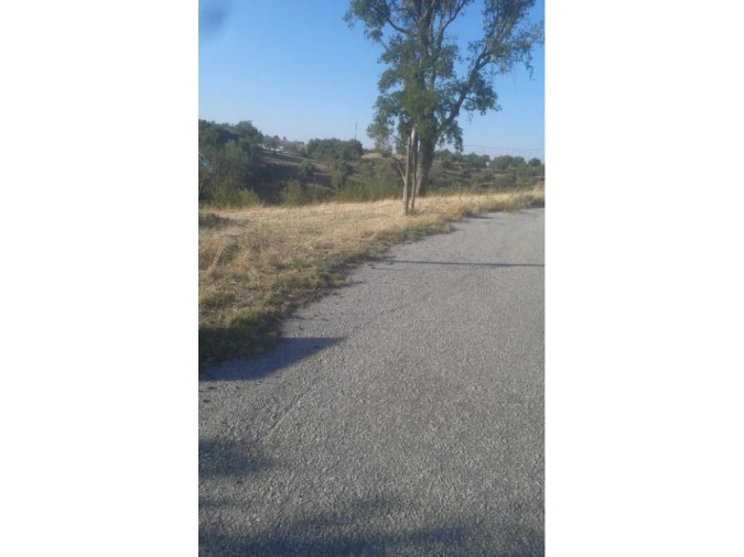 Terreno Agricola ou Rústico para Venda em Montargil Foto 10