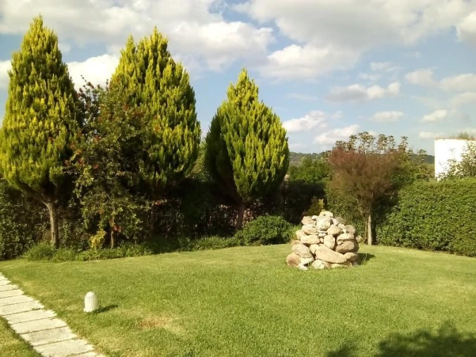 Moradia T3 para Venda em Mora Foto 7