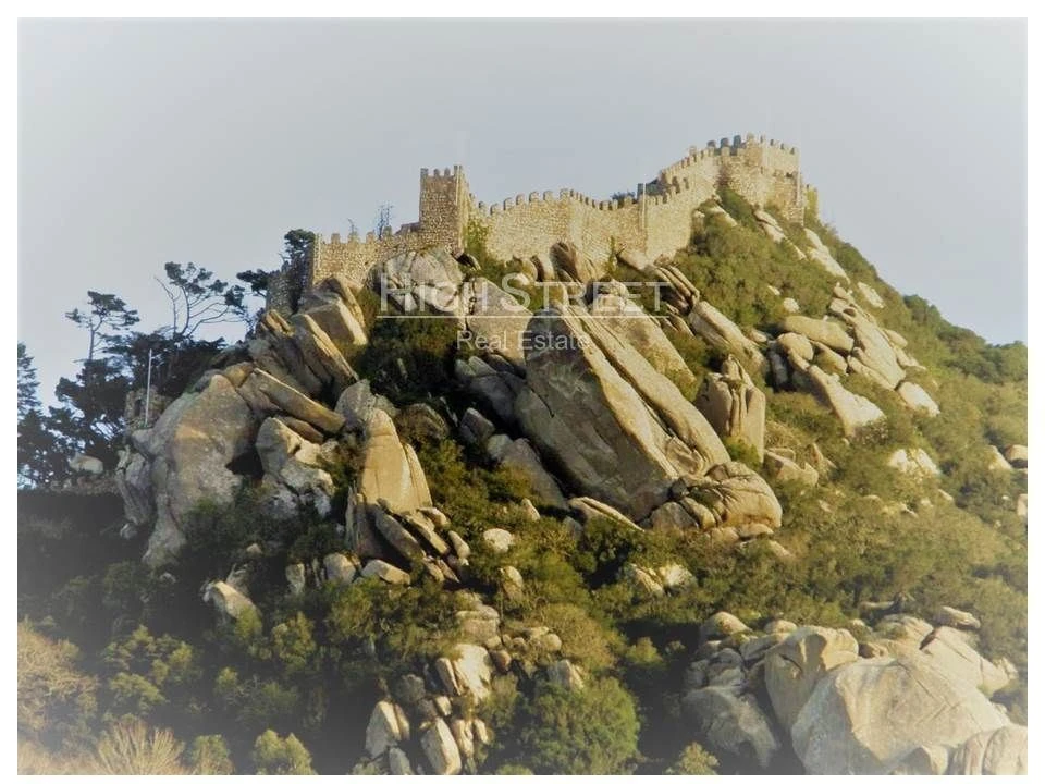 Terreno para Venda em Santa Maria e São Miguel, São Martinho, São Pedro Penaferrim Foto 5