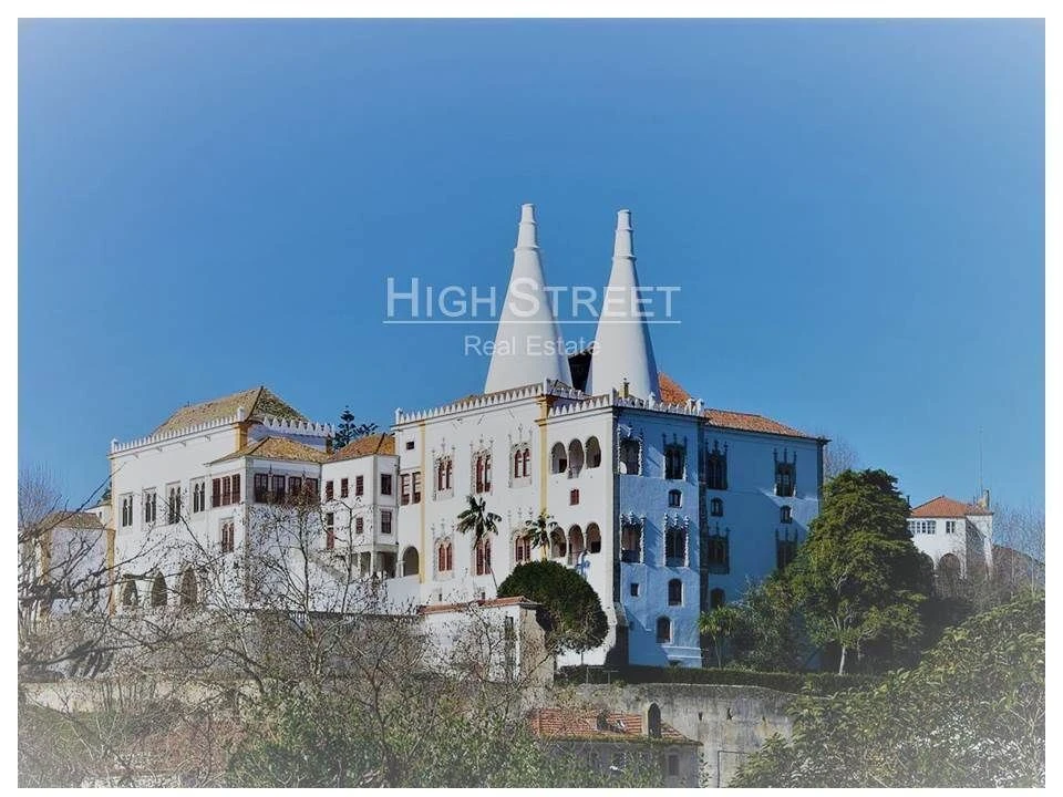 Terreno para Venda em Santa Maria e São Miguel, São Martinho, São Pedro Penaferrim Foto 10