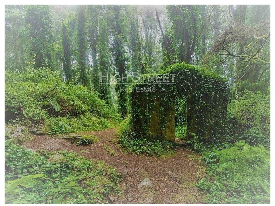 Terreno para Venda em Santa Maria e São Miguel, São Martinho, São Pedro Penaferrim Foto 30