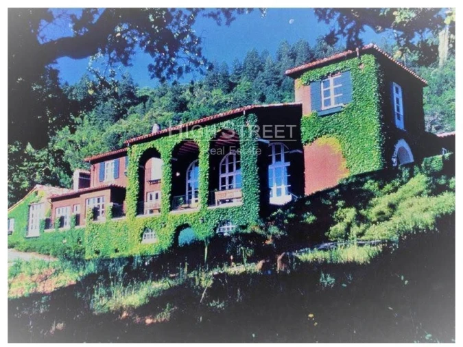 Terreno para Venda em Santa Maria e São Miguel, São Martinho, São Pedro Penaferrim Foto 4