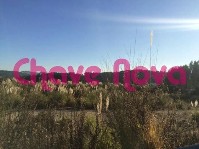 Terreno Misto para Venda em Arcozelo Foto 6