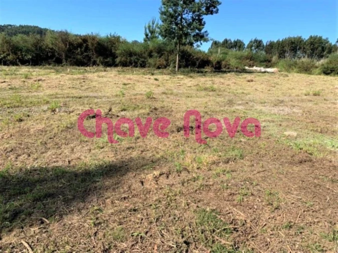 Terreno Misto para Venda em Arcozelo Foto 1