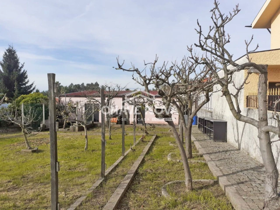 Terreno para Venda em São João de Ver Foto 10