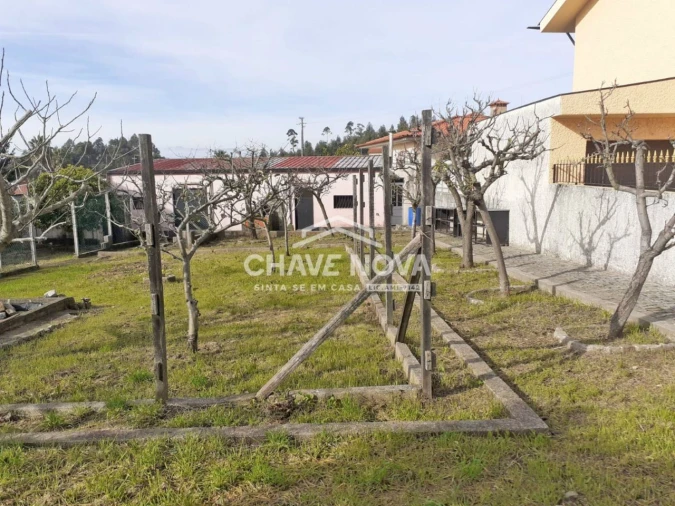 Terreno para Venda em São João de Ver Foto 2