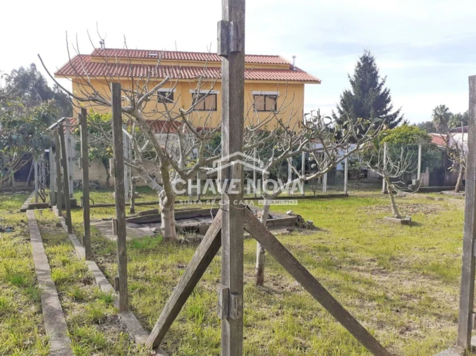 Terreno para Venda em São João de Ver Foto 8