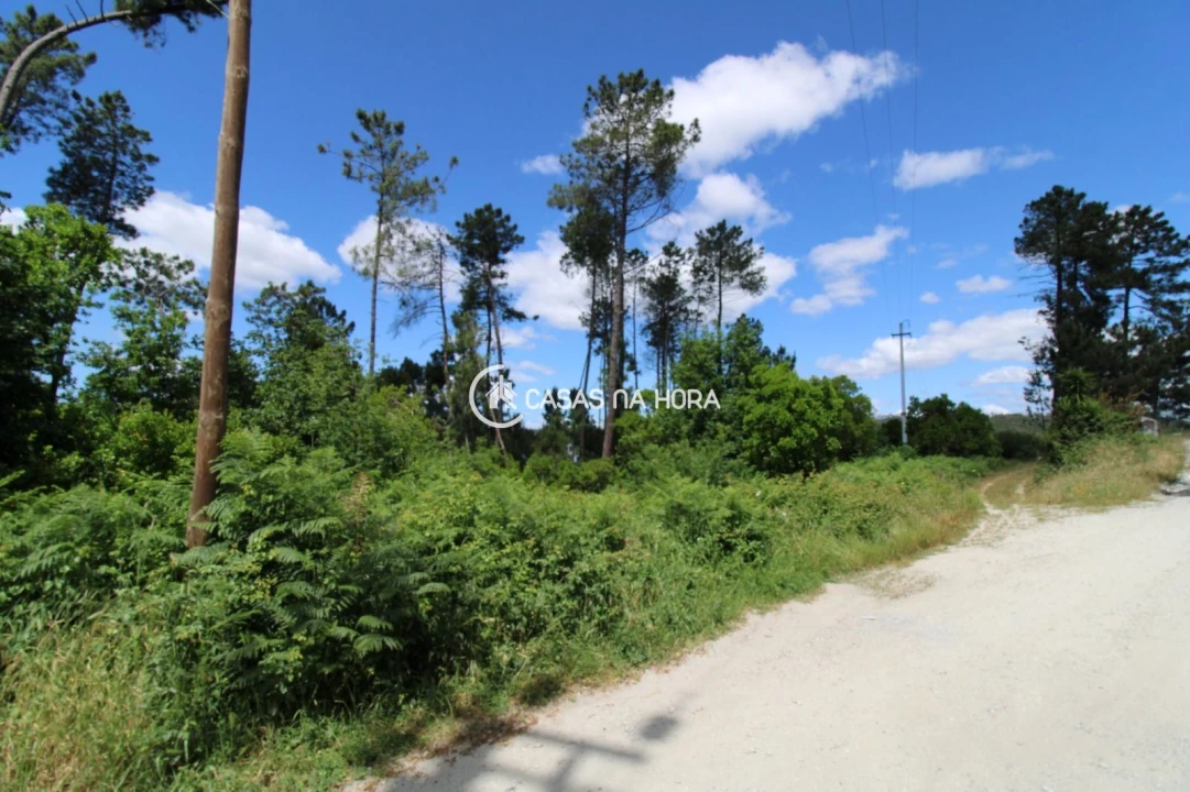 Terreno P/ Prédio para Venda em Orgens Foto 5