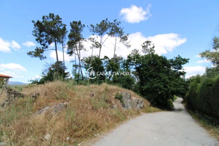 Terreno P/ Prédio para Venda em Orgens Foto 3