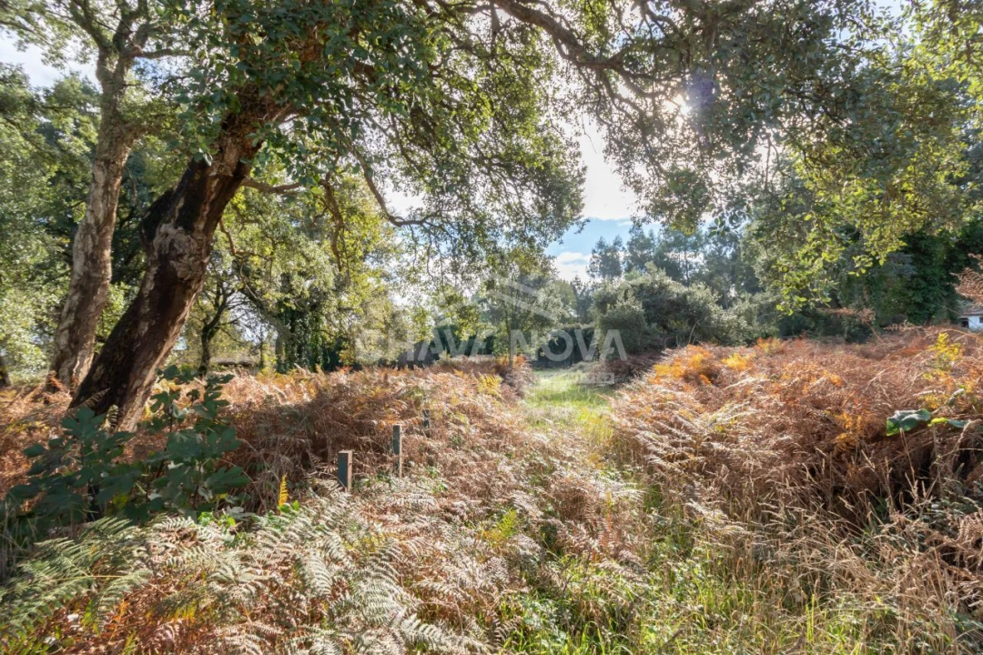 Quinta T4 para Venda em Fiães Foto 25