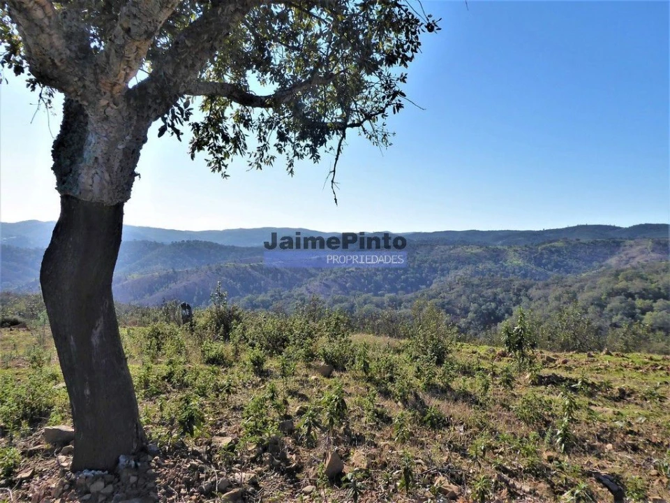 Terreno Agricola ou Rústico para Venda em Aldeia dos Fernandes Foto 1
