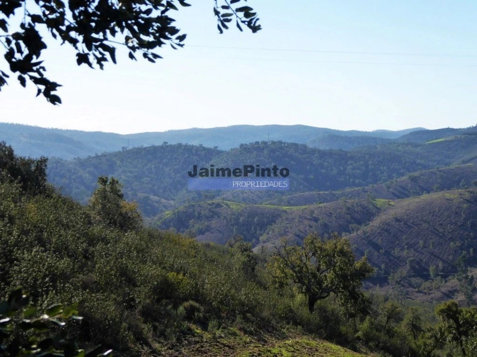 Terreno Agricola ou Rústico para Venda em Aldeia dos Fernandes Foto 3