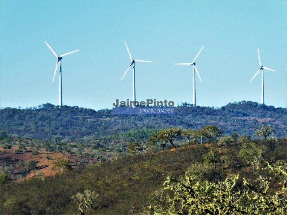 Terreno Agricola ou Rústico para Venda em Aldeia dos Fernandes Foto 9