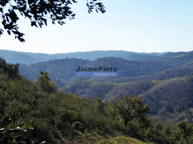 Terreno Agricola ou Rústico para Venda em Aldeia dos Fernandes Foto 3
