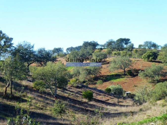 Terreno Agricola ou Rústico para Venda em Aldeia dos Fernandes Foto 5