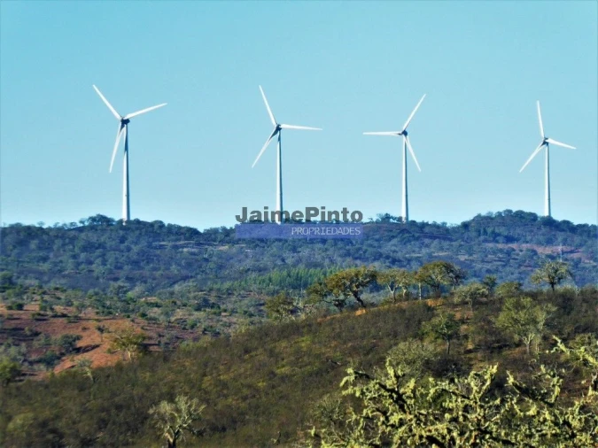 Terreno Agricola ou Rústico para Venda em Aldeia dos Fernandes Foto 9