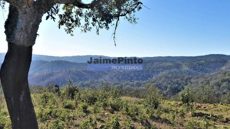 Terreno Agricola ou Rústico para Venda em Aldeia dos Fernandes