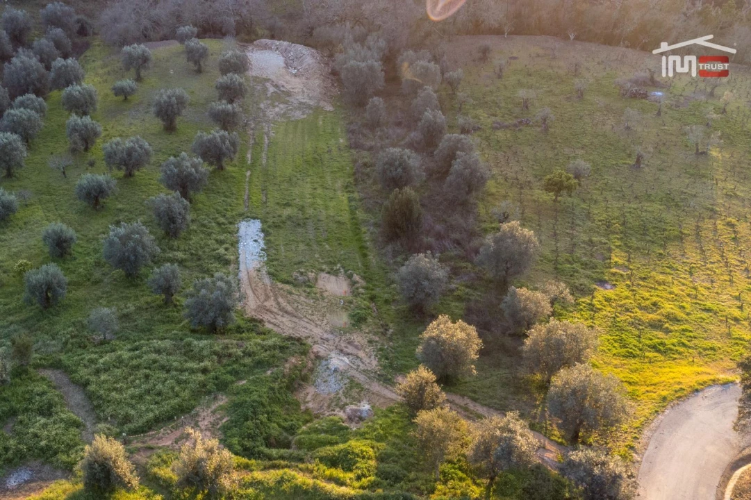 Terreno Agricola ou Rústico para Venda em Nossa Senhora da Piedade Foto 2