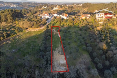 Terreno Agricola ou Rústico para Venda em Nossa Senhora da Piedade