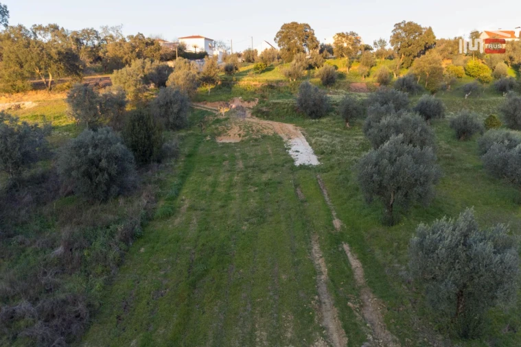Terreno Agricola ou Rústico para Venda em Nossa Senhora da Piedade Foto 5
