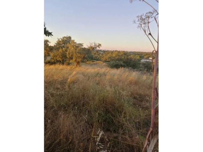 Quinta T0 para Venda em Espírito Santo, Nossa Senhora da Graça e São Simão