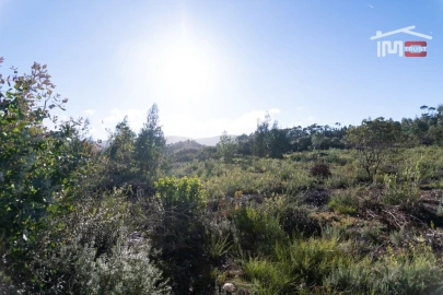 Terreno Agricola ou Rústico para Venda em Fatima
