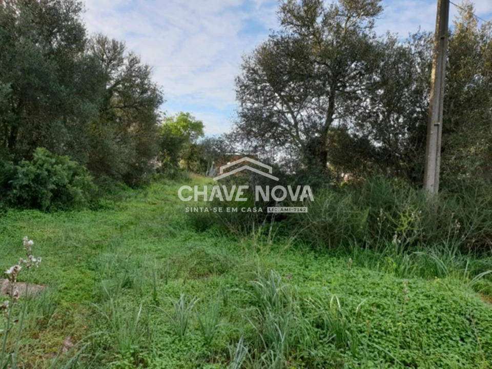 Terreno para Venda em São Bartolomeu de Messines Foto 10