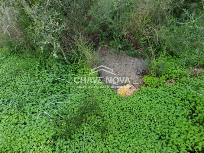 Terreno para Venda em São Bartolomeu de Messines Foto 8