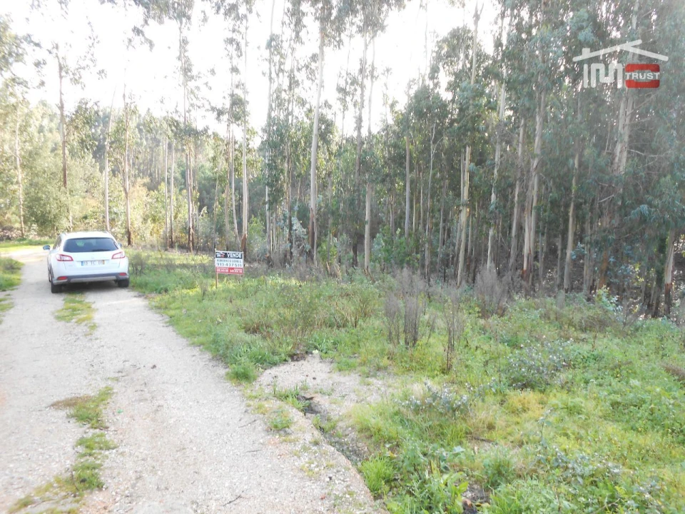 Terreno Agricola ou Rústico para Venda em São Mamede Foto 3