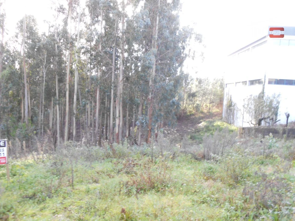 Terreno Agricola ou Rústico para Venda em São Mamede Foto 4