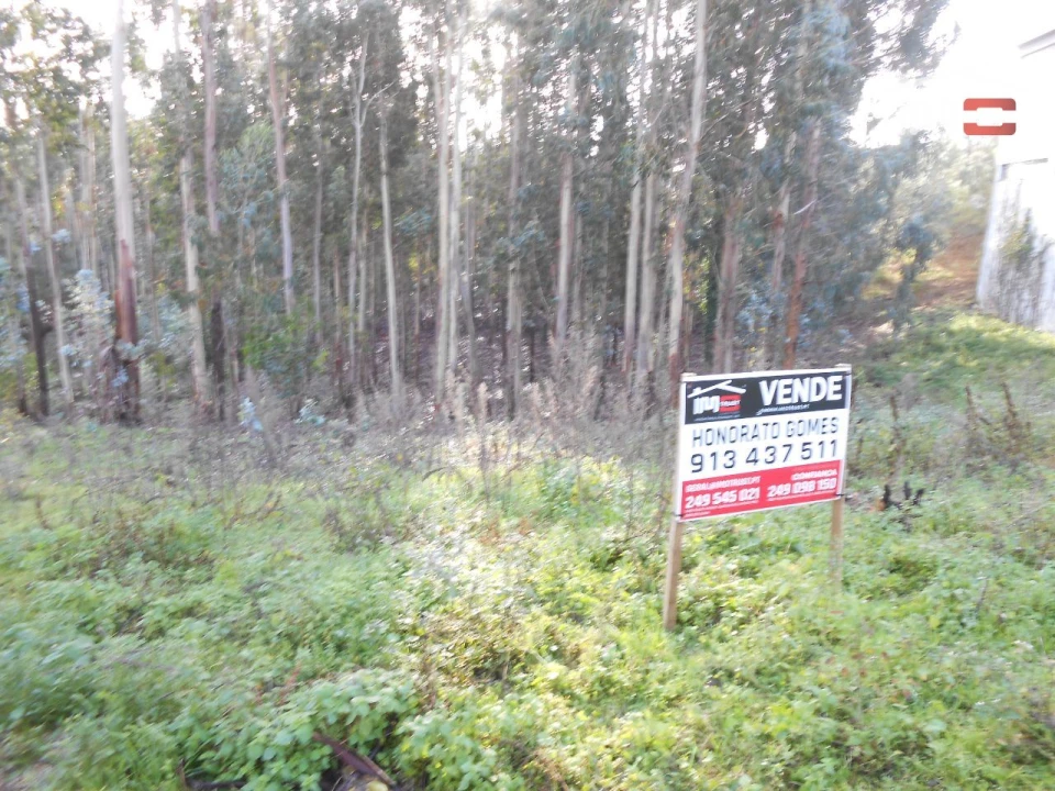 Terreno Agricola ou Rústico para Venda em São Mamede Foto 5