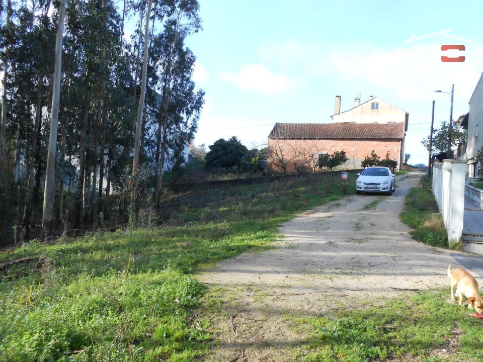 Terreno Agricola ou Rústico para Venda em São Mamede Foto 1