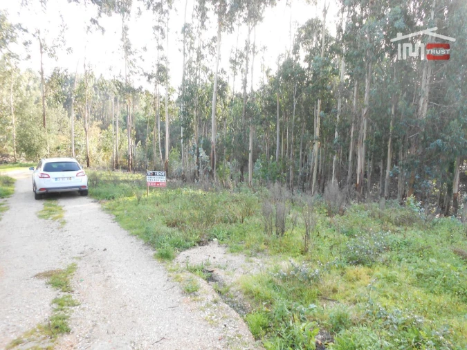 Terreno Agricola ou Rústico para Venda em São Mamede Foto 3