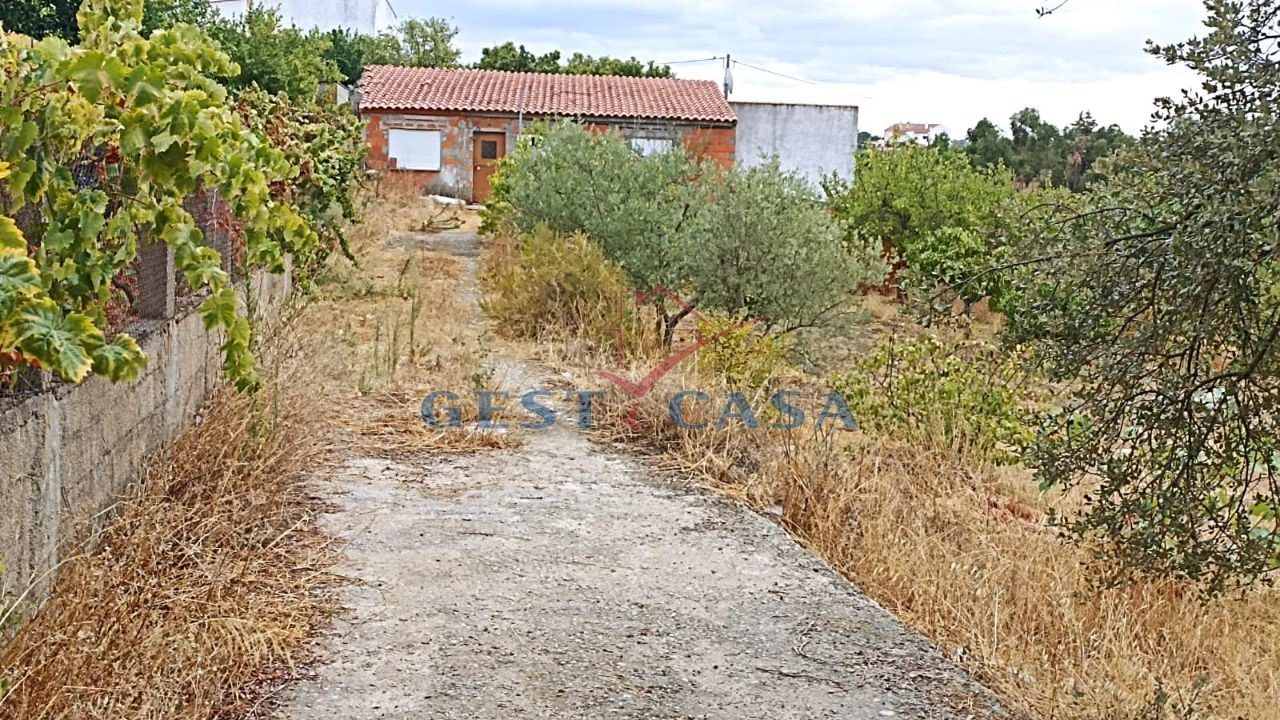 Terreno para Venda em Castelo Branco Foto 4