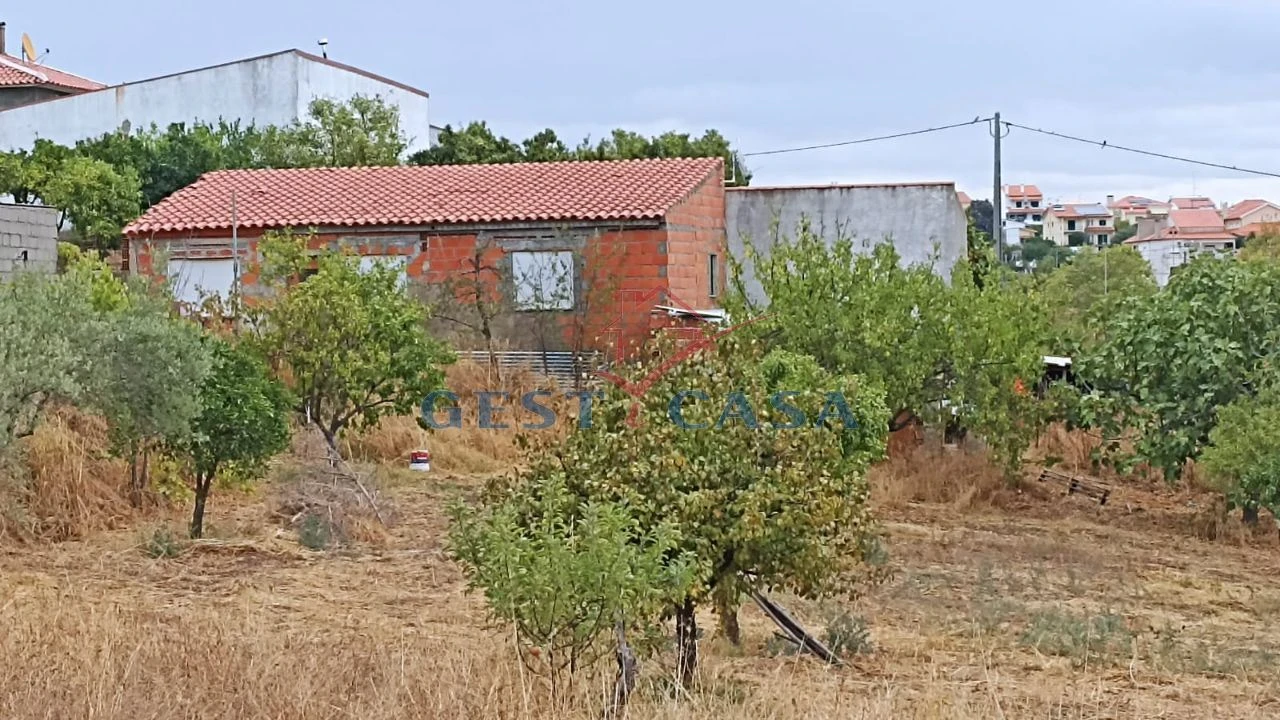 Terreno para Venda em Castelo Branco Foto 5
