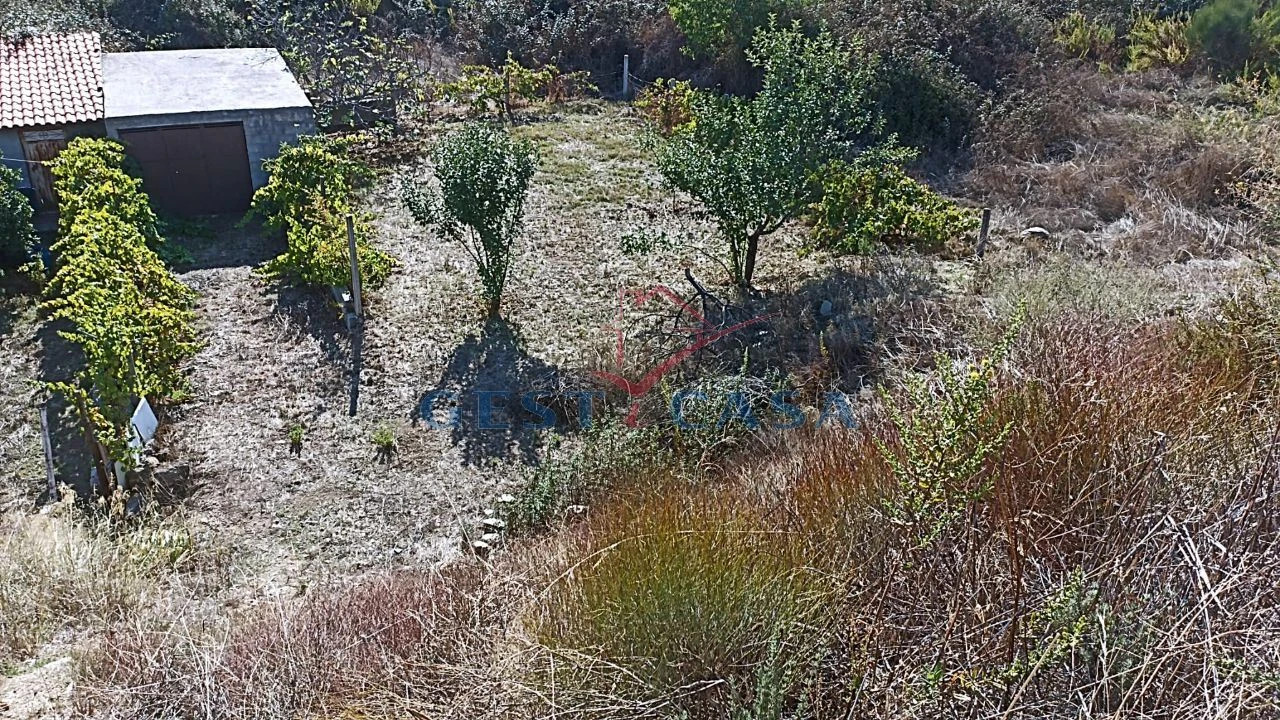Terreno para Venda em Castelo Branco Foto 8