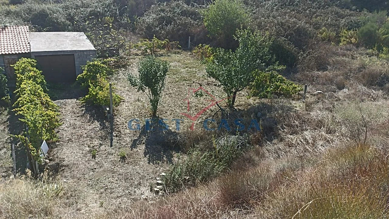 Terreno para Venda em Castelo Branco Foto 12