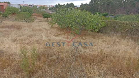 Terreno para Venda em Castelo Branco