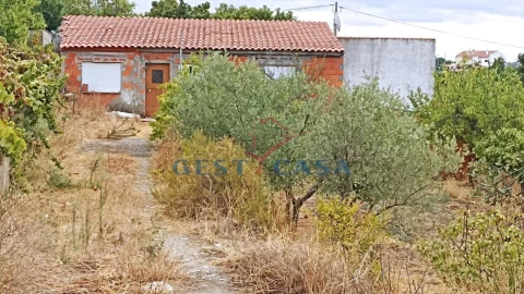 Terreno para Venda em Castelo Branco