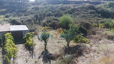 Terreno para Venda em Castelo Branco