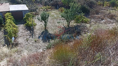 Terreno para Venda em Castelo Branco