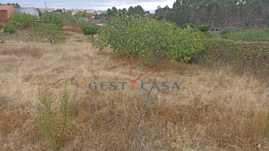 Terreno para Venda em Castelo Branco