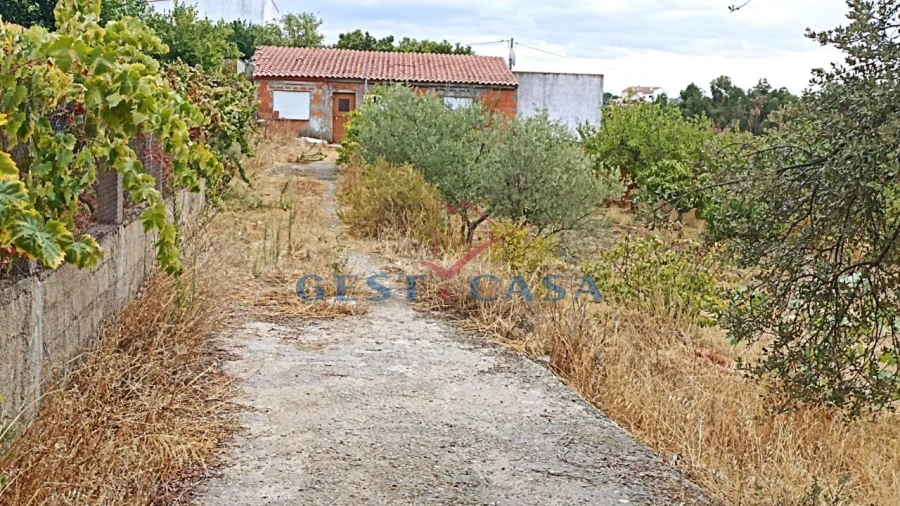Terreno para Venda em Castelo Branco Foto 4