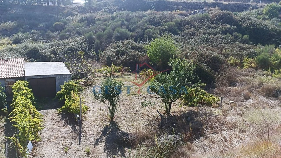 Terreno para Venda em Castelo Branco Foto 6