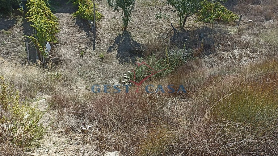 Terreno para Venda em Castelo Branco Foto 7