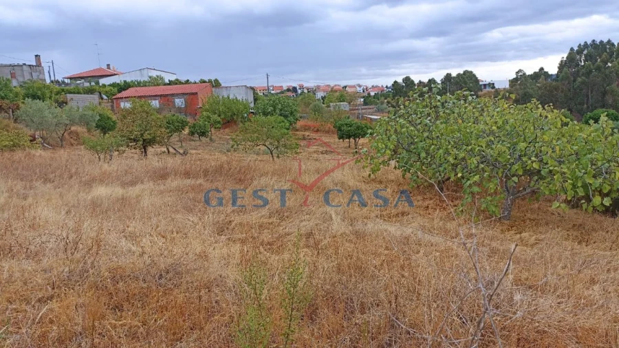 Terreno para Venda em Castelo Branco Foto 9